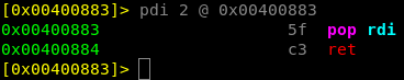 pop rdi instruction